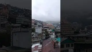 Again Snowfall in Shimla Hills #hilltoptraveller #shorts #ytshort #shimla #snowfall