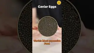 दुनिया का सबसे महंगा अंडा | Why caviar eggs is so expensive #fishfacts #caviar #factsinhindi #shorts