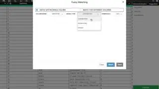 Fuzzy matching with Ideata Analytics