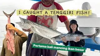 🎣 HOKI MANCING TENGGIRI di PULAU SERIBU #fishing #mancing #mancingikan #pulauseribu #tenggiri 