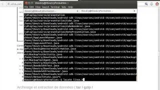 Linux 101 (cour 2 - commandes de base la suite)