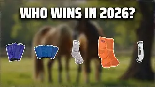 The Top 5 Best Fly Socks in 2026 - Must Watch Before Buying!