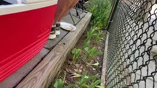 Beantown City H3 - MBTA song