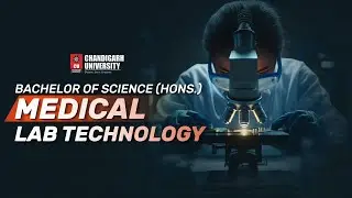 B.Sc. Hons. program in Medical Lab Technology - Chandigarh University Admissions | Placements