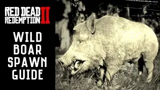 Red Dead Redemption 2 - Wild Boar Locations | Materials Satchel (RDR2)