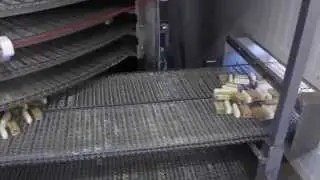 Project Netherlands - Spiral cooler - Comron International