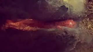 Mud salamander orange cichlids fish tigre