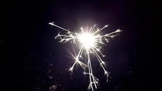 Nahaufnahmen #1 / Pyrofreak 271
