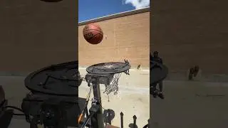 Don&rsquo;t Dunk Here ❌
