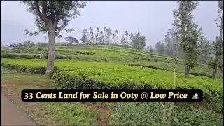Villa Plots for Sale in Ooty | 33 Cent East Facing Prime Land for Sale #ooty #plotsale #landforsale
