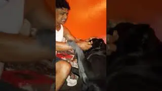 # papa barfi masti me khelte hoye#😘😘🥰&hearts;️#labrador #funny #comedy #