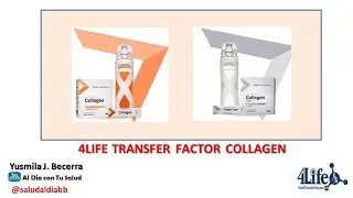 4LIFE TRANSFER FACTOR COLLAGEN. YUSMILA BECERRA