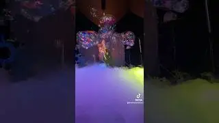 Magical bubble show in Knieskinderzoo &hearts;️🫧 #bubbleshow #seifenblasen #magic #soapbubbles #dryice