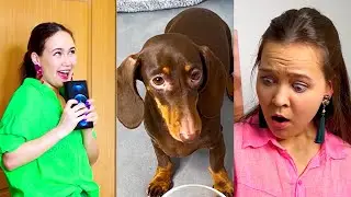 С ЧАПИТОСИКАМИ ВЕСЕЛО❤😁🐶