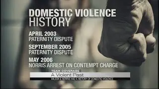 Domestic violence history