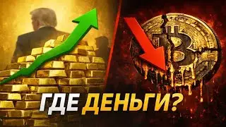 КРАХ «Цифрового Золота»: Куда на самом деле уходят деньги?