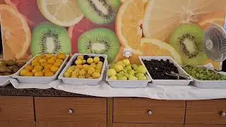 hotel evenia zoraida park buffet libre