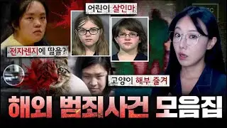 라디오처럼 틀어놓기 좋은 3시간 연속 해외범죄사건 모음 | 디바제시카 인기영상