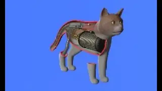 shitpost.exe