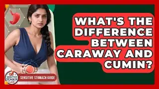 What's The Difference Between Caraway And Cumin? - Sensitive Stomach Guide