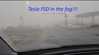 Tesla FSD v 14.2.2.2 drove in thick fog - it was brilliant!