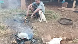 Farm, Paws & Cooking  is live!