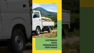 PUNYA MOBIL PIKAP? JADIIN BISNIS AJA!! #shorts