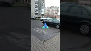 minkis