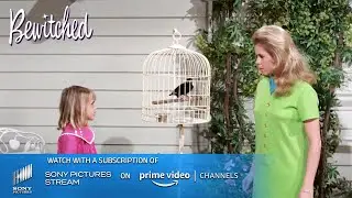 Tabitha makes a bird talk | Bewitched - TV show | Sony Pictures - Stream