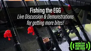 Fishing the EGG | Live Discussion & Demos for getting more bites!