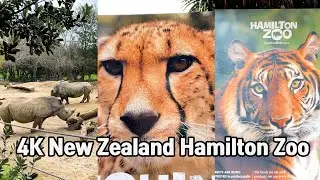 [4K] Walk New Zealand Hamilton Zoo