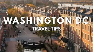 Washington DC Travel Tips: Best Time to Visit Washington DC