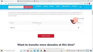 TRANSFER DOMAIN FROM NETFIRMS.COM TO NAMESILO.COM NO HIDDEN FESS