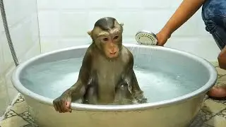 Little Girl Luna Taking Bath In Big Bowl Routine