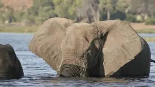 Mike McNamara : Gorongosa National Park