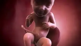 Your baby at 33 weeks | Week-by-week pregnancy | MadeForMums