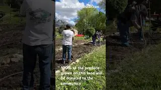 100% of our land&rsquo;s produce goes to the community! Food Forest Utah🌿 #utah #giveback #localharvest