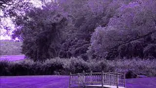 tango