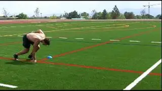 Stewart Bradley Progression