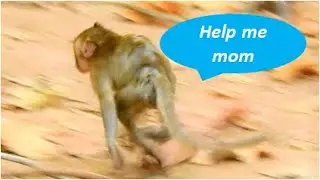 Mom Jane leave Janna on tree with Janet | Janna run so fast to meet mom cos scare Janet torture