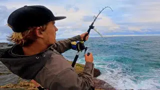 Massive Kingfish Off The Rocks!