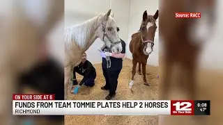 RACC provides second chance for Eastern Shore horses with Tommie Fund Support