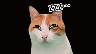 絶対寝てるやんコレ…【漫才】【コント】 【猫アニメ】