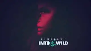 Skrellex - Into the wild (official audio)