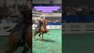 Five-Gaited World&rsquo;s Grand Champion Midd&rsquo;s Delaney & Susan Swope!   What a team! #asbdreams