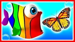Learn Seasons with Rainbow Fish as he meets a Butterfly and a Snowman
