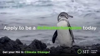 Masters in Climate Change and Global Sustainability | Study Abroad Masters Programs | SIT