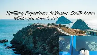 Walking over sea : Oryukdo Skywalk in Busan | Must-See Destination in South Korea | vlog 95