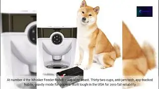 Top 5 AI Pet Feeders 2025 Smart Feeding That Cuts the Chaos