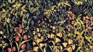 Nicola Fiorenza: Chamber concerto for recorder, 2 violins & b.c. in A minor / Collegium Pro Musica